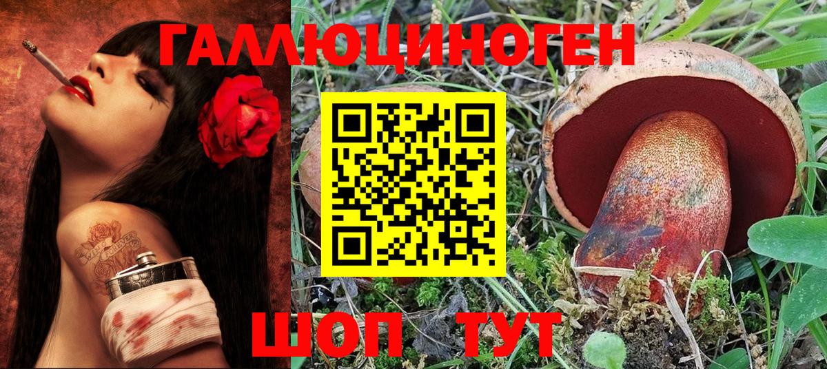 Псилоцибиновые грибы GOLDEN TEACHER Боровичи