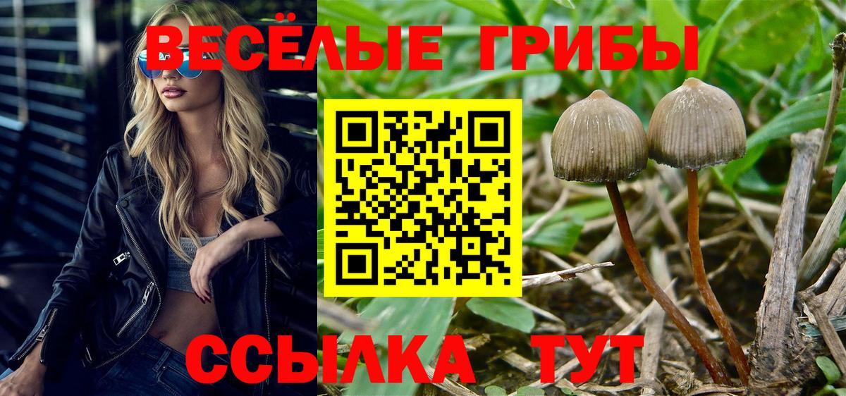 Боровичи  Галлюциногенные грибы мицелий  Вход с VPN 